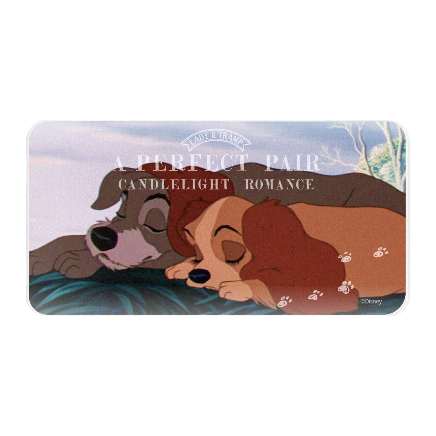 Lady & Trump (Goodnight) USB / USB Type-C 4000mAh Lithium Ion Polymer Charger 2.1A DNG-167B