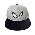 Marvel Spider-Man "Spider-Man Day" Gray/Black Cap