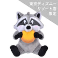 [Limited to some Disney Store stores] Meeko Plush Toy Pocahontas MOGUMOGU
