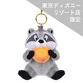 [Disney Store limited to some stores] Meeko stuffed toy key chain/key chain Pocahontas MOGUMOGU