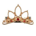 [Restock] Rapunzel Hair Clip Tiara Metal Color