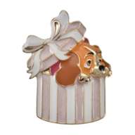 lady brooch present