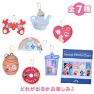 Disney Character Secret Card Holder Card Photo Case