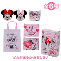 minnie secret going out items