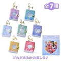 Disney Princess Secret Keychain Holder Type Album Clear Window Aurora