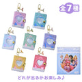 Disney Princess Secret Keychain Holder Type Album Clear Window Aurora