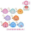 Disney Character Secret Pouch Gamaguchi Keychain Type Pattern