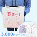 [Disney Store.jp Exclusive] Disney Store Spring Festival Lottery Apparel 3000 yen