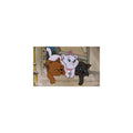Fashionable Cat Cinema Collection Sticker