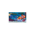 Finding Nemo Cinema Collection Sticker