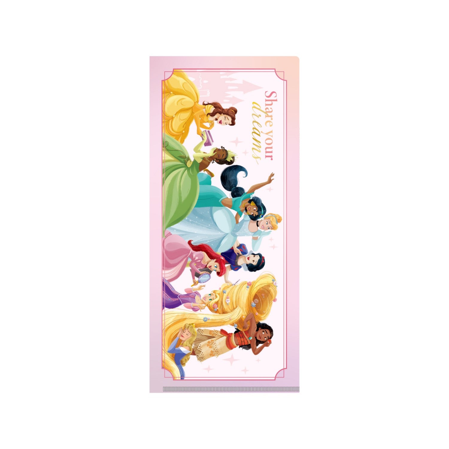 Disney Princess ticket holder