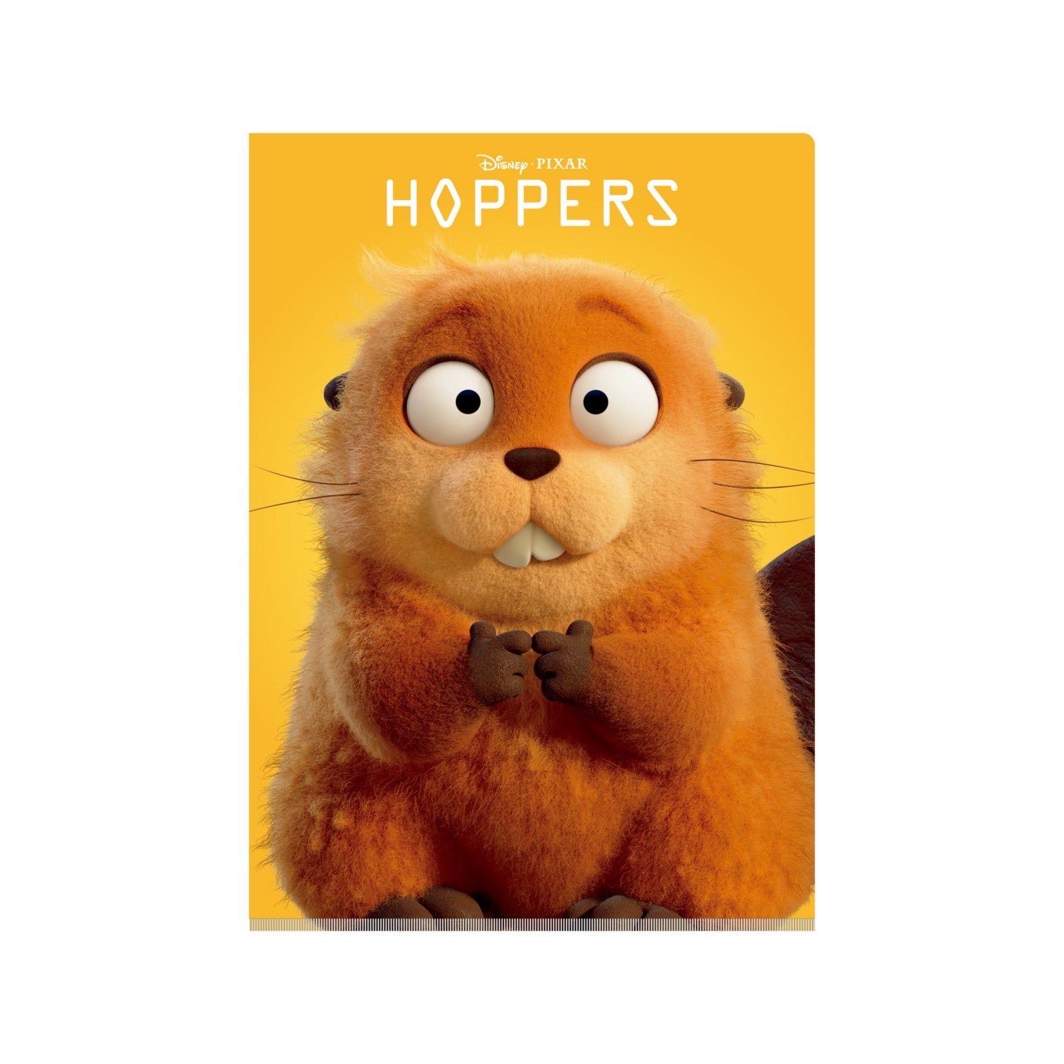 When I become a beaver W pocket clear file