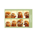When I Become a Beaver ID Photo Style Sticker
