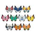 Vivillon pin from Japan with colorful wings and body