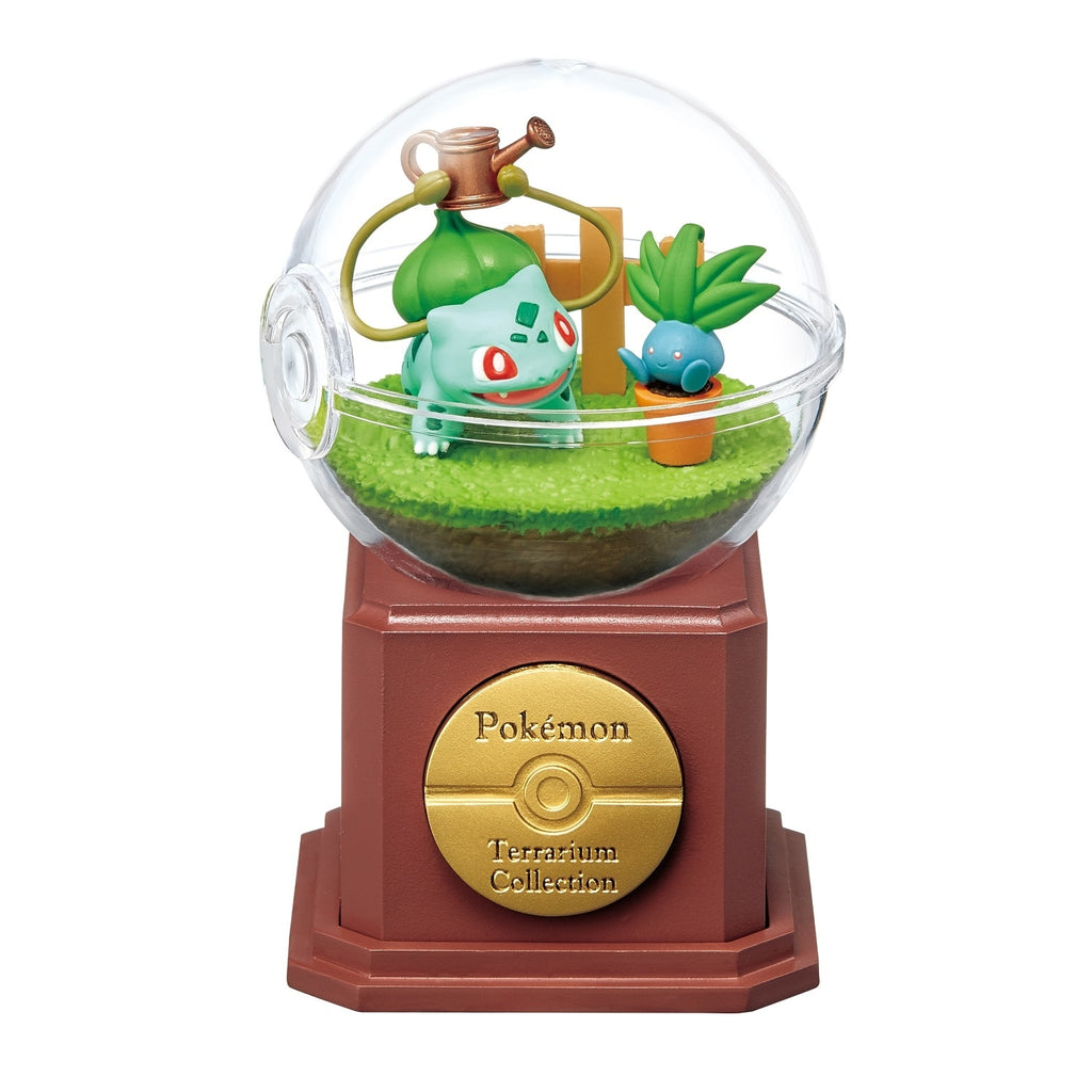 Terrarium collection 10