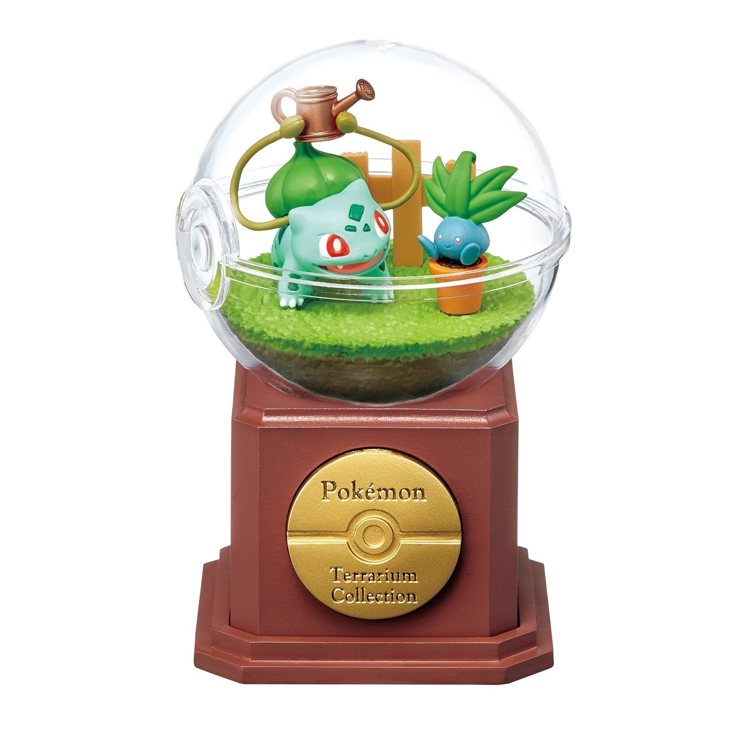 Terrarium collection 10