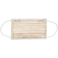 Skater Adult non-woven pleated mask (embossed) 10 pieces Winnie the Pooh/POOH/MSKPE4_574221