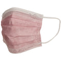 Skater adult non-woven pleated mask (embossed) 10 pieces Princess/MSKPE4_574245