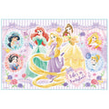 Leisure Sheet for Children Single Use S Size Excursion 60 x 90cm Disney Princ...