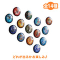 Kingdom Hearts / Glass Magnet