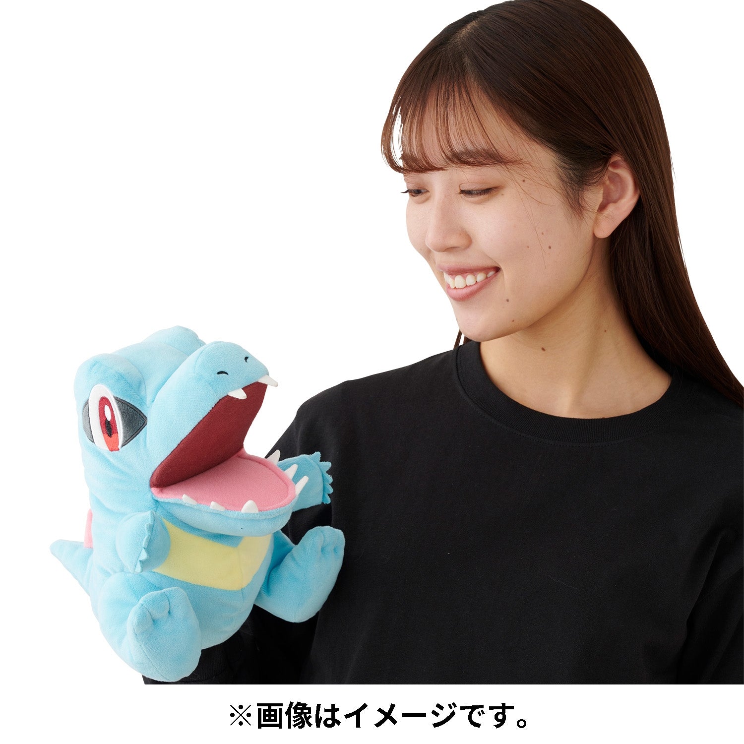 Pokemon Biting Corps Crocodile plushie, sitting pose from Japan