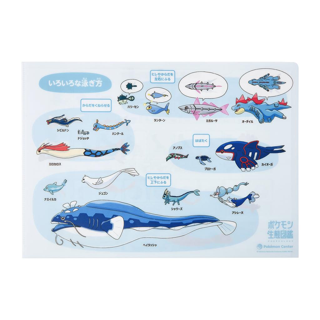 A4 clear file Pokemon ecology encyclopedia moving