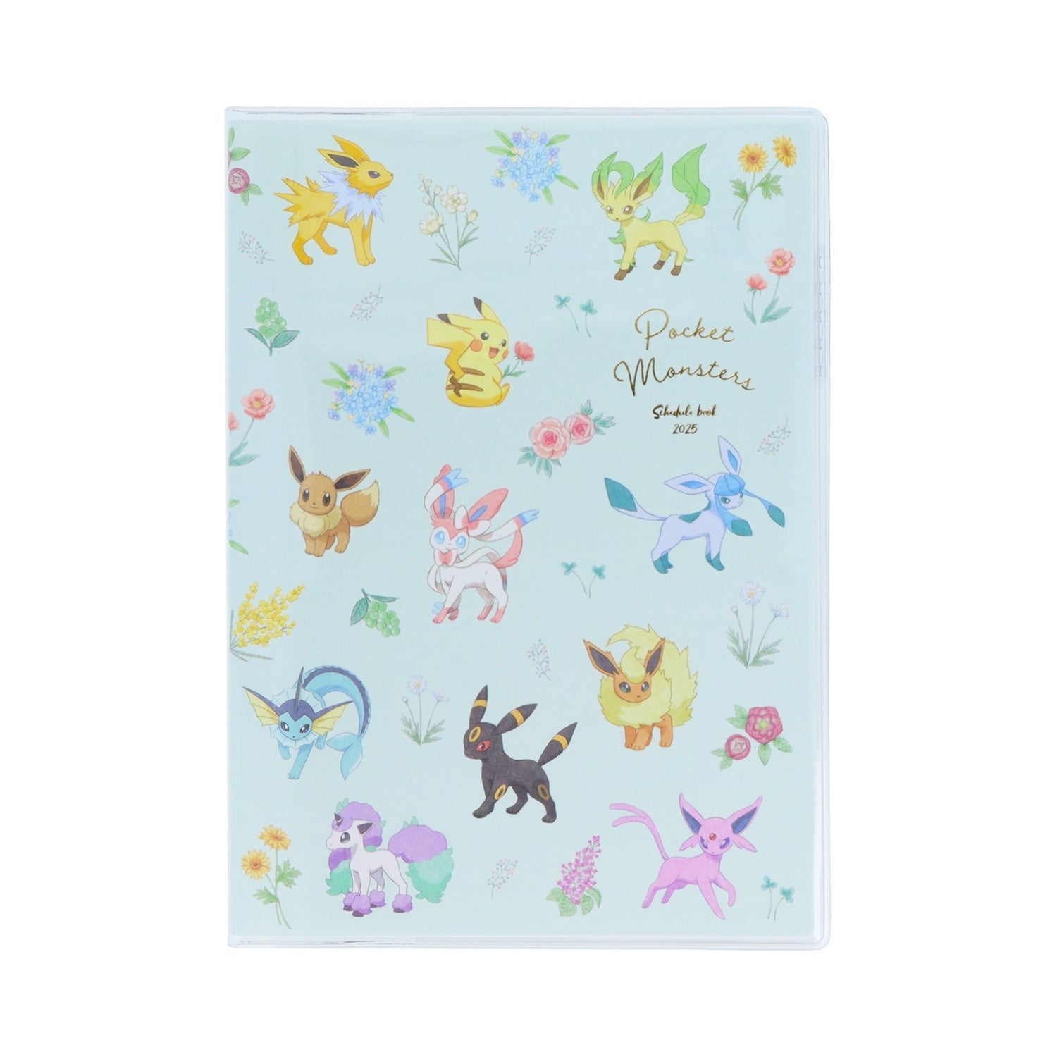 Pokemon Notebook Monthly B6 Flyer from Japan, featuring a colorful design