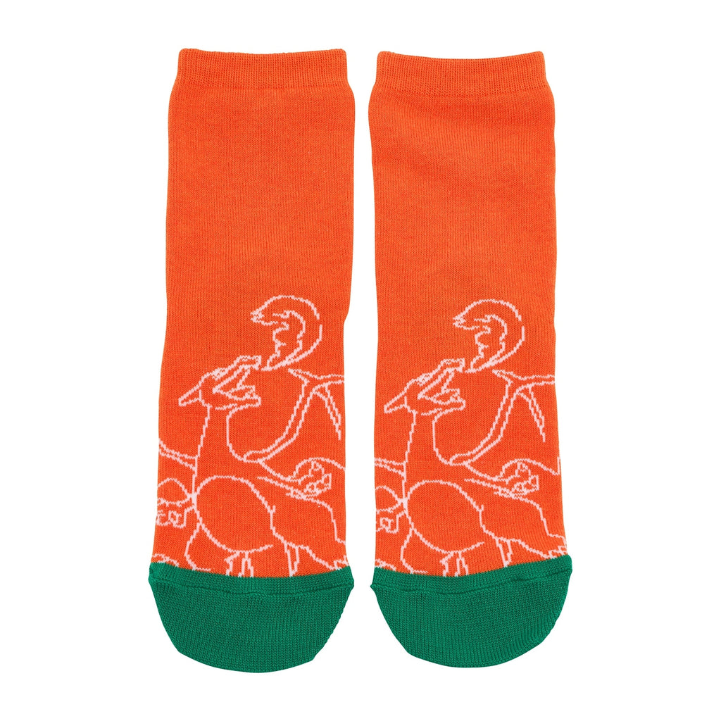 [Choose] Crew socks NeonColor Charizard 19-21