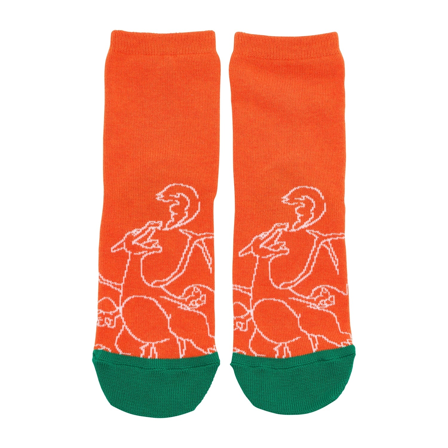 [Choose] Crew socks NeonColor Charizard 19-21