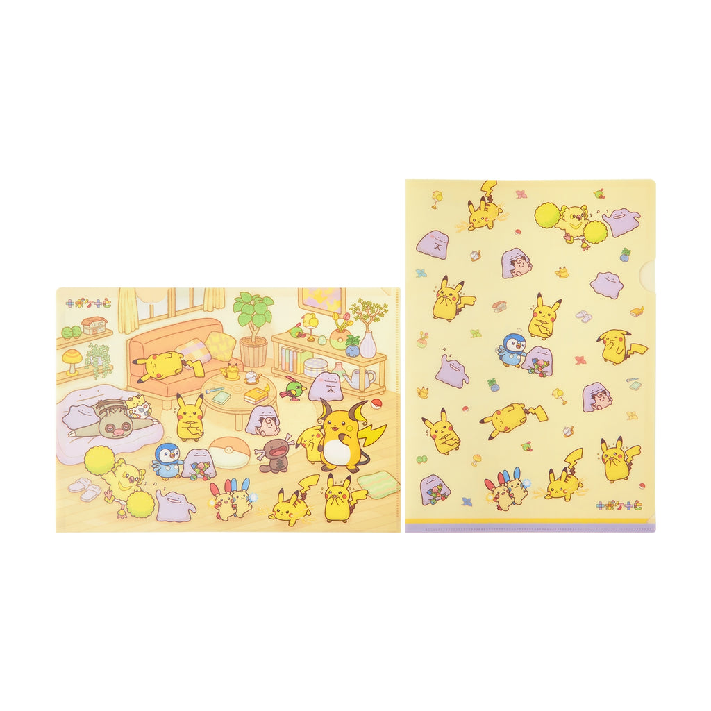 A4 clear file set of 2, 10 pockets, 10 colors