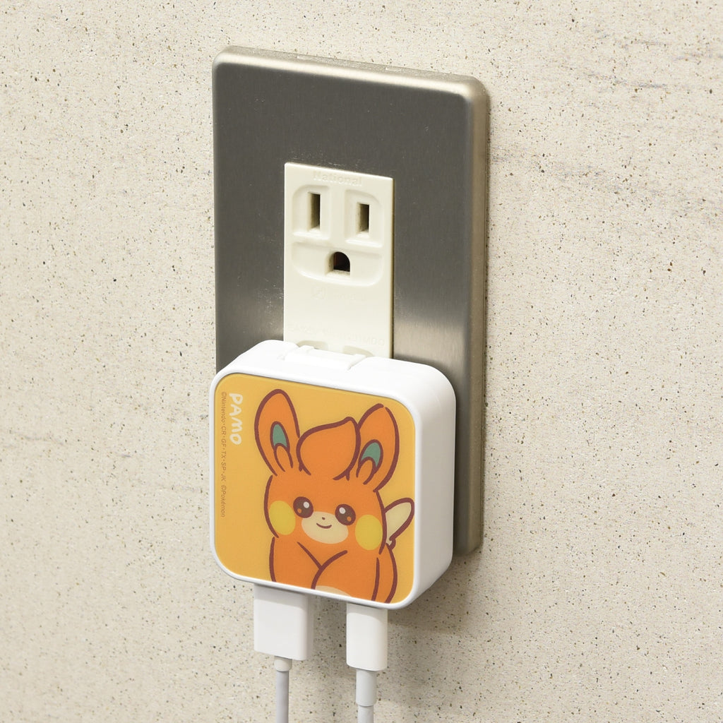 USB/USB Type-C AC adapter Pamo