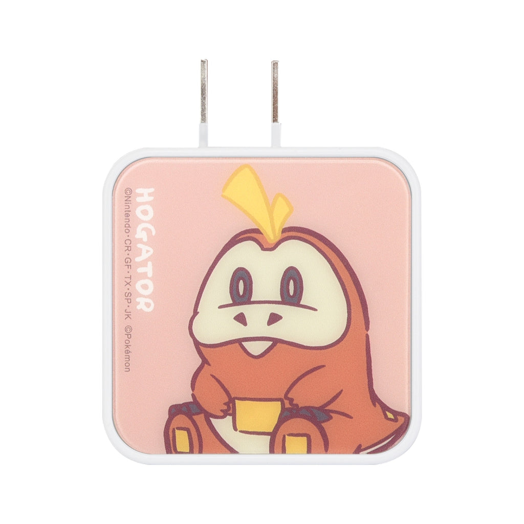 USB/USB Type-C AC adapter Hogator