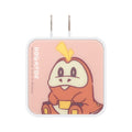 USB/USB Type-C AC adapter Hogator