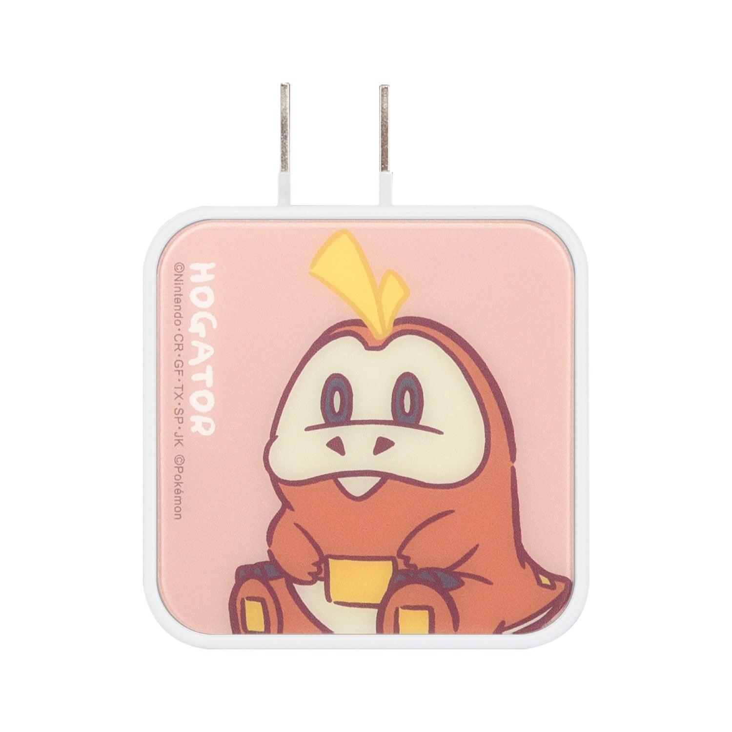 USB/USB Type-C AC adapter Hogator
