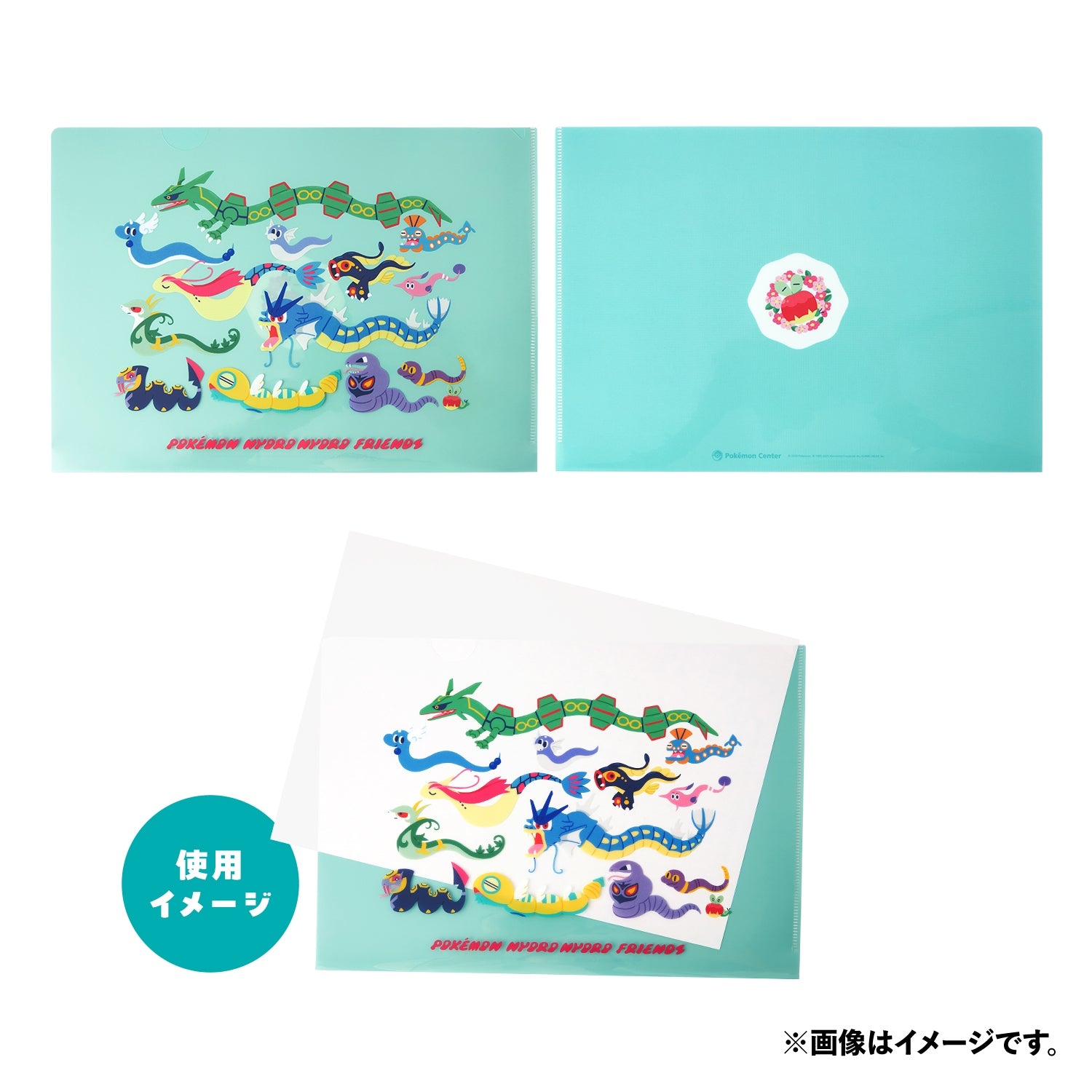 A4 clear file POKÉMON NYORO NYORO FRIENDS