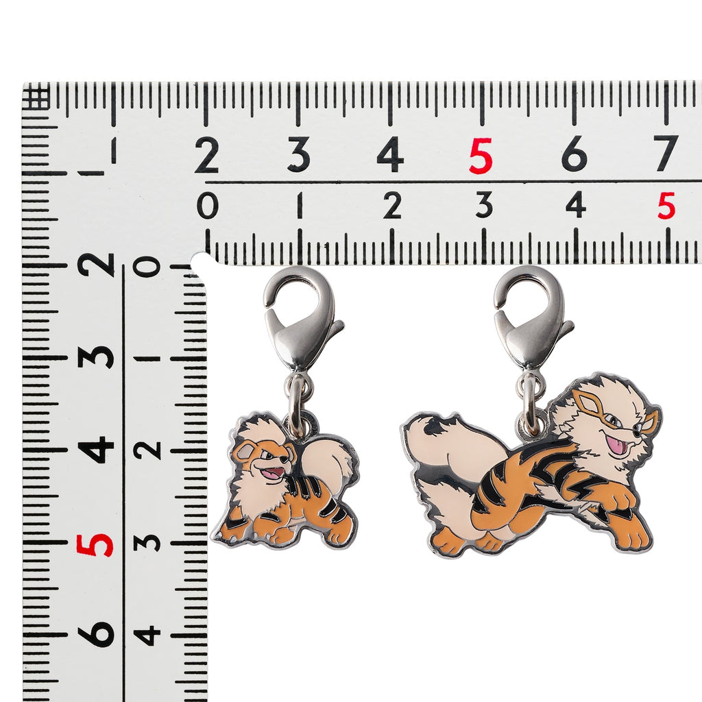 Pokemon Metal Charm 058/059, a Japan-exclusive collectible with intricate details, sourced from Pokemon Center Japan