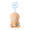 Pokémon Little Daydream Charmander & Charizard Plush Set | Japan Exclusive