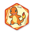 Honeycomb acrylic magnet vol.6 Charmander