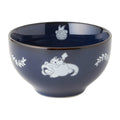 Bowl Pokemon Center Kagawa