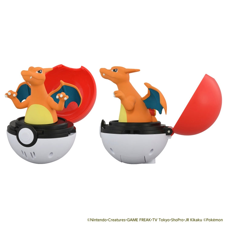 Pyokopunyu Charizard