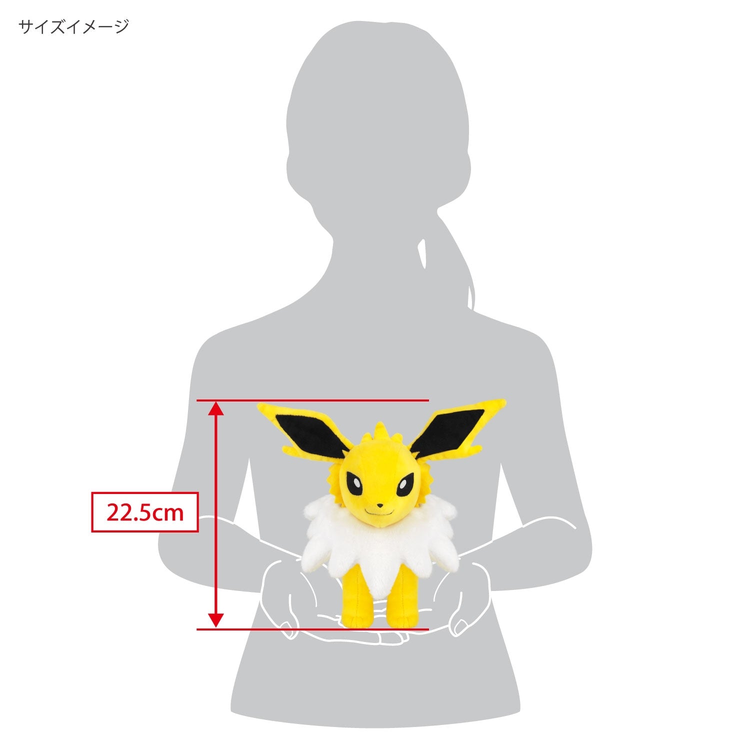 Pokemon Sanders plush toy from Japan, collectible item