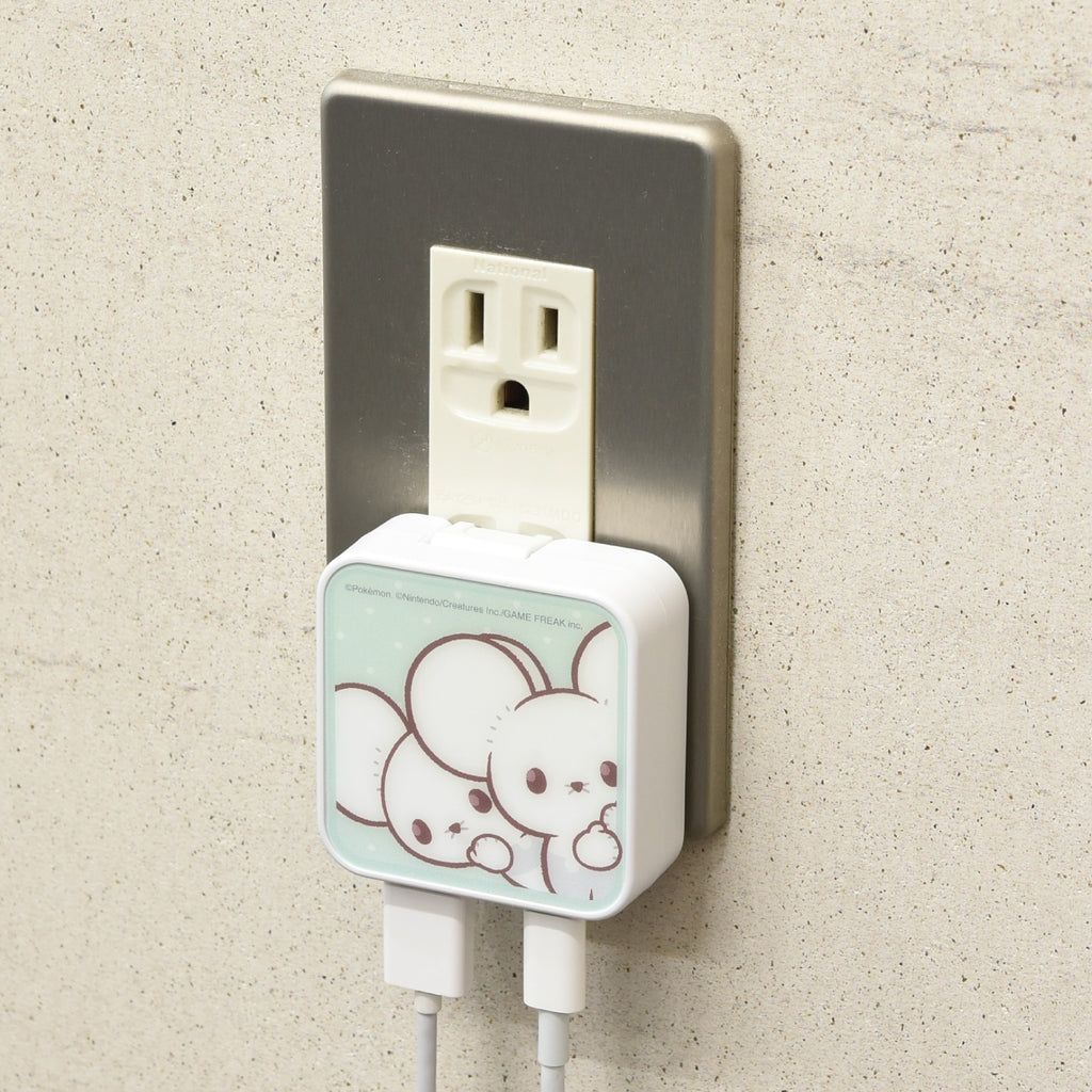Pokepiece USB/USB Type-C AC adapter Wakkarat