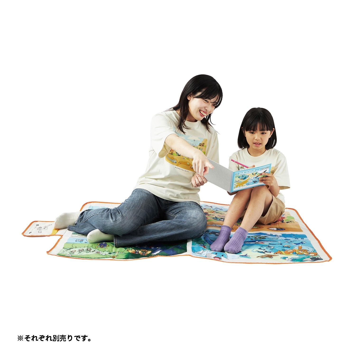 Pokemon Ecology Encyclopedia book and packaging, shipped directly from Japan