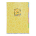 A4 clear file 5 pockets MIMOSA e POKÉMON
