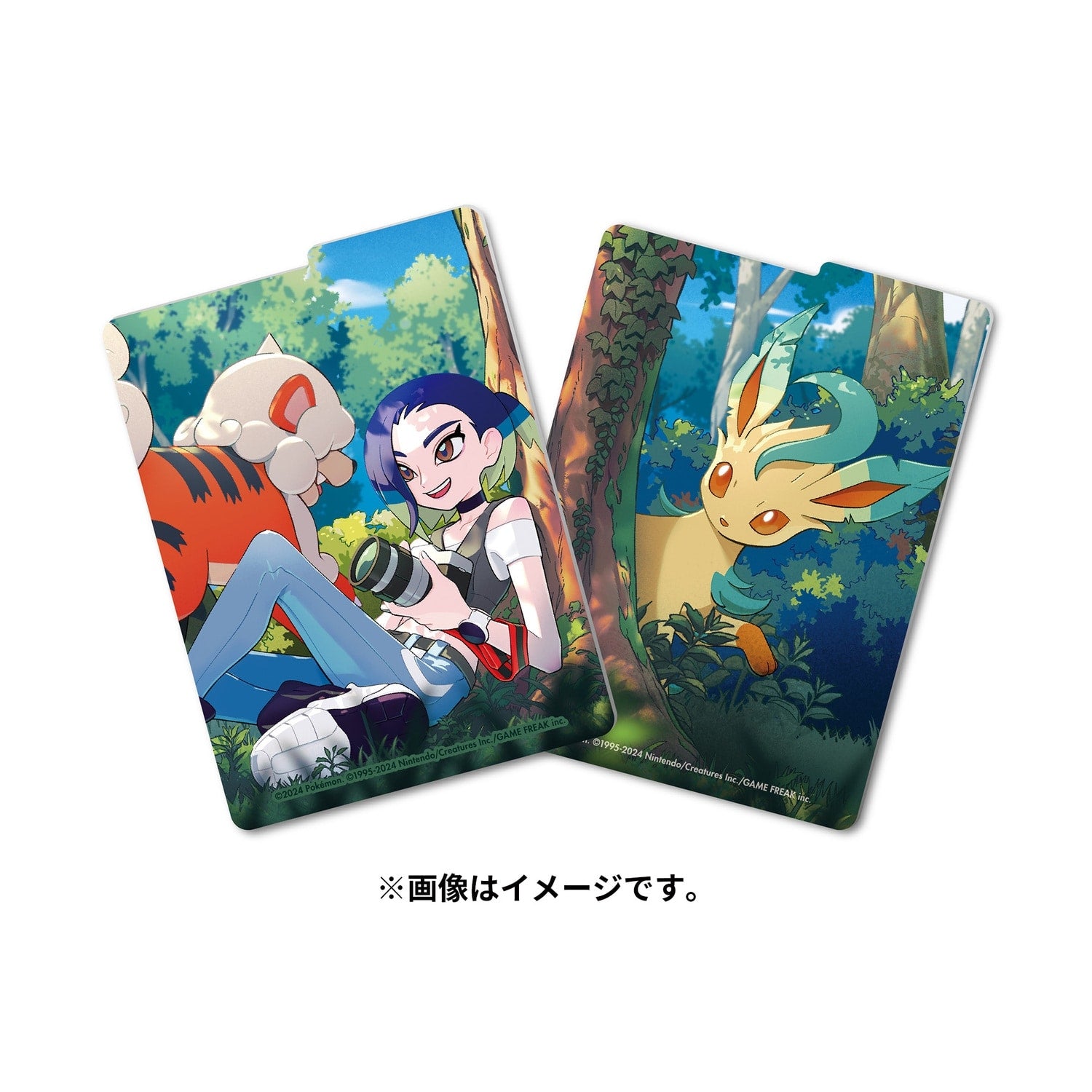 Pokémon TCG Official Deck Case - Sazare | Japan Exclusive