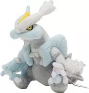 Kyu Rem (White Kyu Rem) Pokemon Fit Plush toy "Pokémon" Pokemon Center only