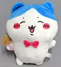 Chi-kawa plush toy, cute Hachi-ware sea-otter with big eyes from Japan