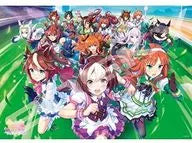 Key Visual "Uma Musume Pretty Derby" Jigsaw Puzzle 1000 Pieces [1000T-305]