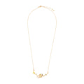 Necklace between two things Raichu