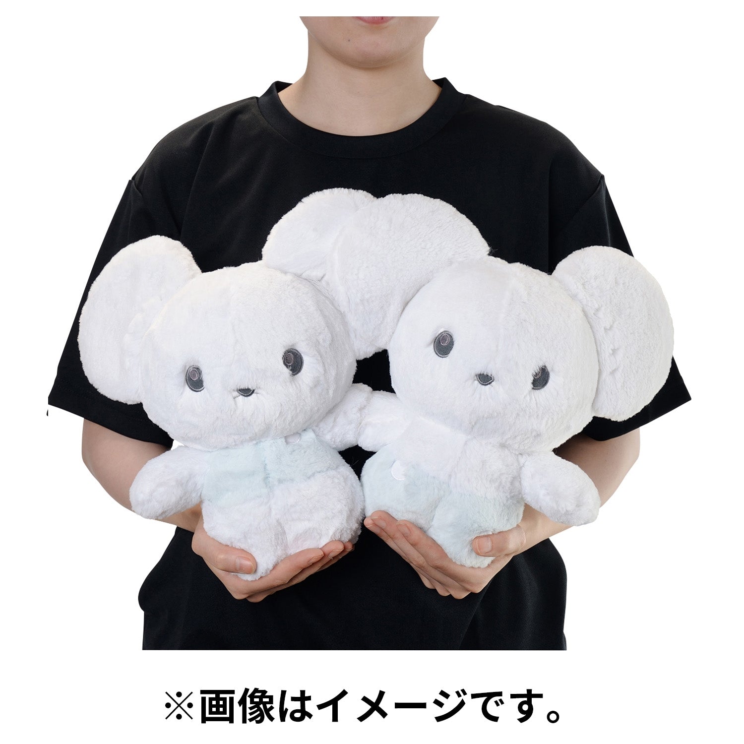 Pokemon Wakkarat plushie, hugging stuffed animal from Japan
